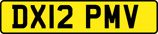 DX12PMV