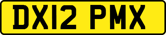 DX12PMX