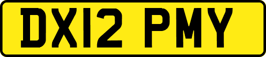 DX12PMY