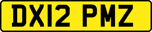 DX12PMZ