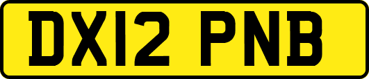 DX12PNB