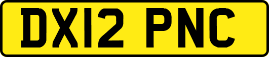 DX12PNC