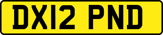 DX12PND