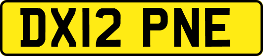 DX12PNE