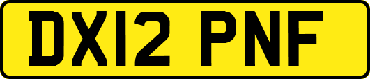 DX12PNF