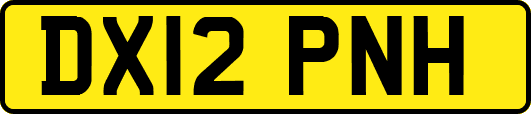 DX12PNH