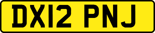 DX12PNJ