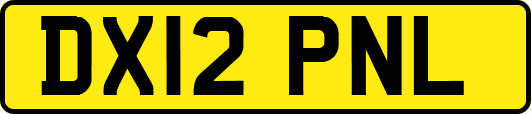 DX12PNL