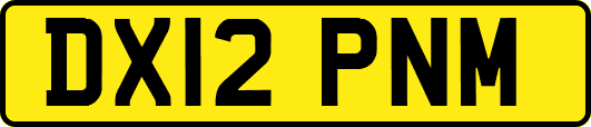 DX12PNM