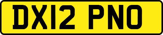 DX12PNO