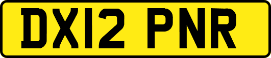 DX12PNR