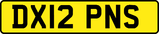 DX12PNS