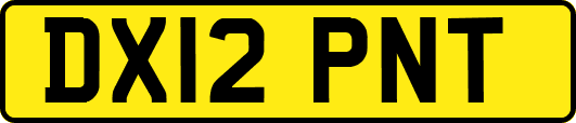 DX12PNT