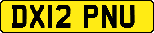 DX12PNU