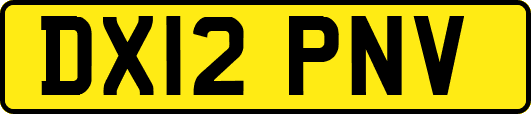 DX12PNV