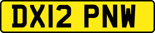 DX12PNW