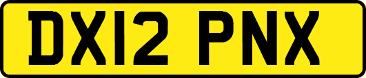 DX12PNX