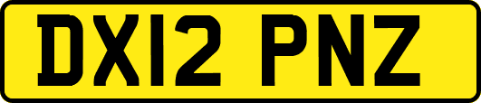 DX12PNZ