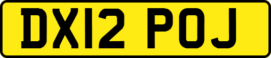 DX12POJ