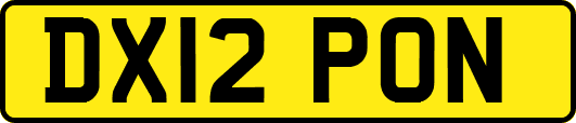 DX12PON