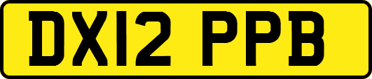 DX12PPB