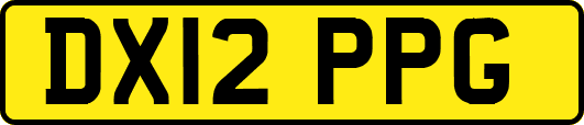DX12PPG