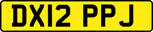 DX12PPJ