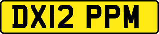 DX12PPM