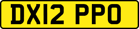 DX12PPO