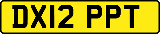 DX12PPT