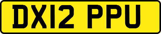 DX12PPU