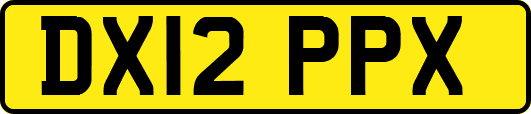 DX12PPX