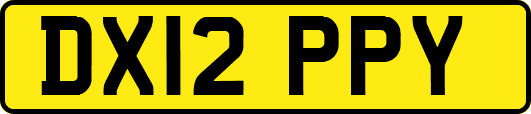 DX12PPY