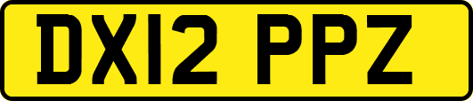 DX12PPZ