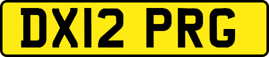 DX12PRG