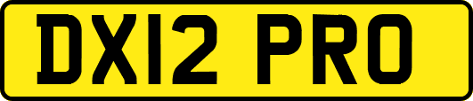 DX12PRO