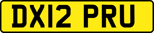 DX12PRU