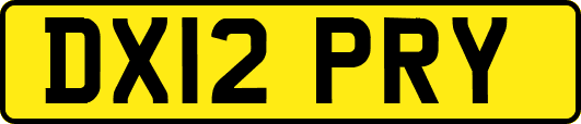 DX12PRY