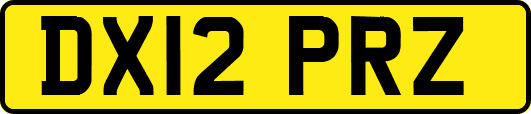 DX12PRZ