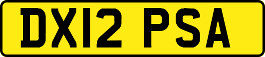DX12PSA