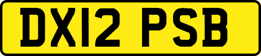 DX12PSB