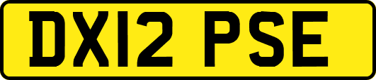 DX12PSE