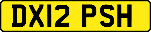 DX12PSH