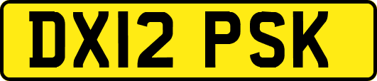 DX12PSK