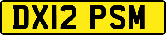 DX12PSM