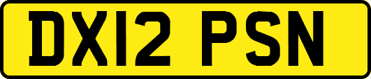 DX12PSN