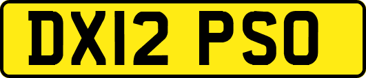 DX12PSO