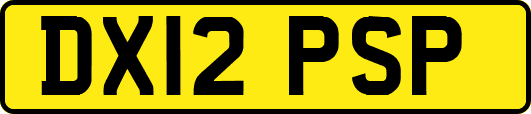 DX12PSP