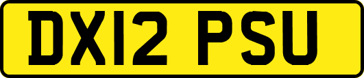 DX12PSU