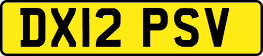 DX12PSV
